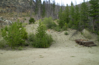 Kettle Valley Railway Myra Canyon, a curious deer beside the rail bed, 2010-08.